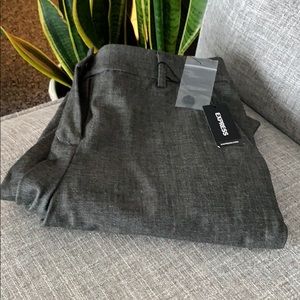 Express Columnist Pant SHORT